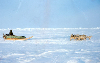 Expedición al Polo Norte (1971)