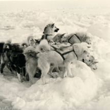 Expedición al Polo Norte (1971)